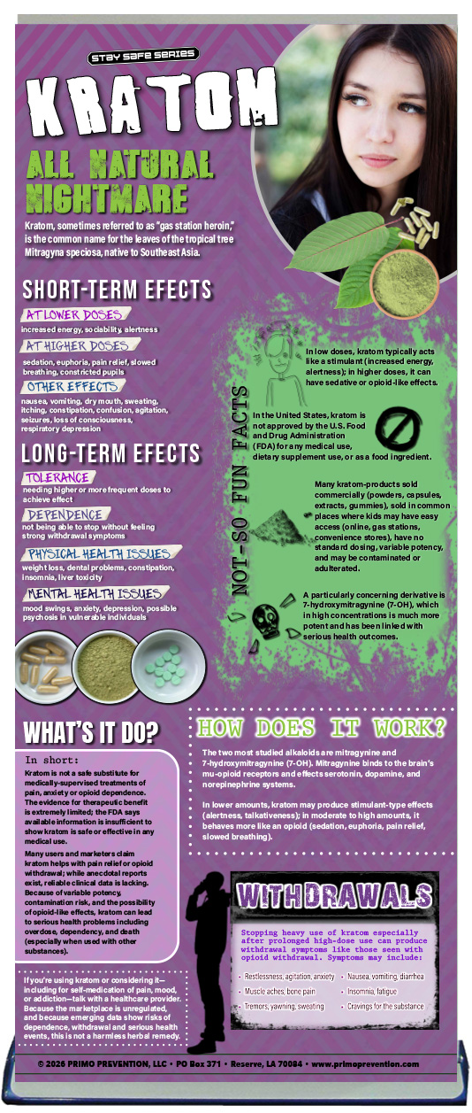 BAN-SS~2 Kratom Retractable Banner Package - Image 2