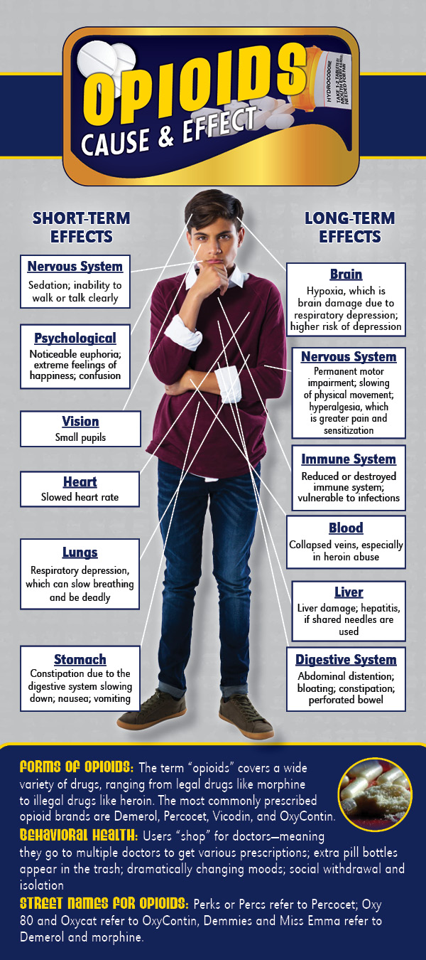 NEW Opioids Cause & Effect FRONT Cause & Effect Rack Card: Opioids - Image 2