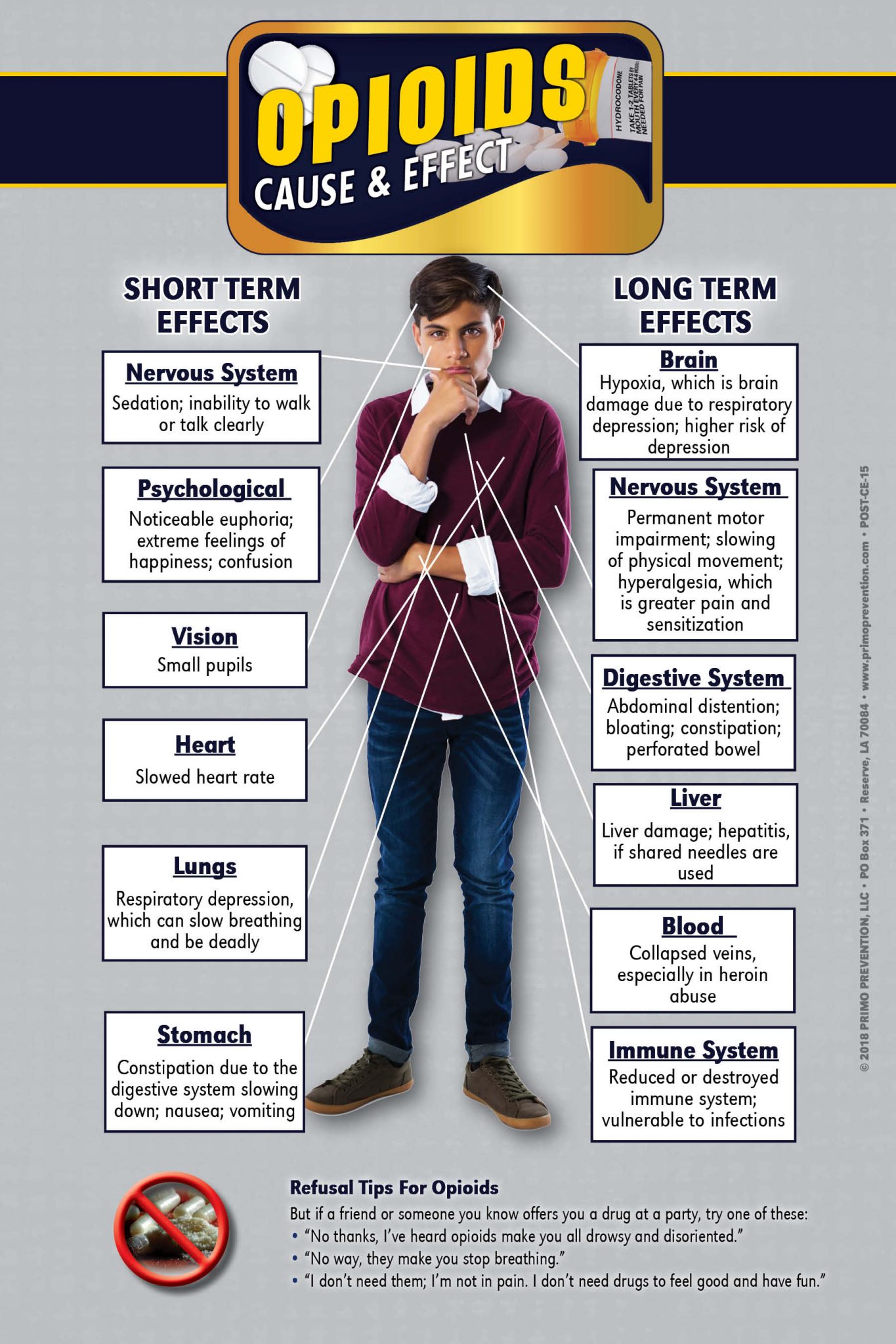 Opioids MiniPoster-WEB C&E Opioids Prevention Retractable Banner Package - Image 3