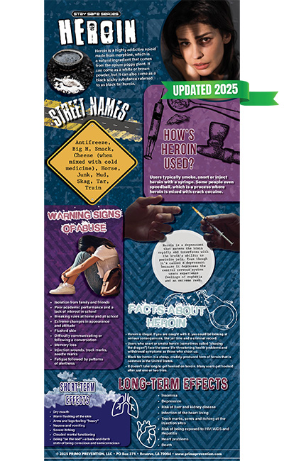BAN-SSDA-10 Heroin Updated 2025 WEB COVER Heroin Retractable Banner - Image 3