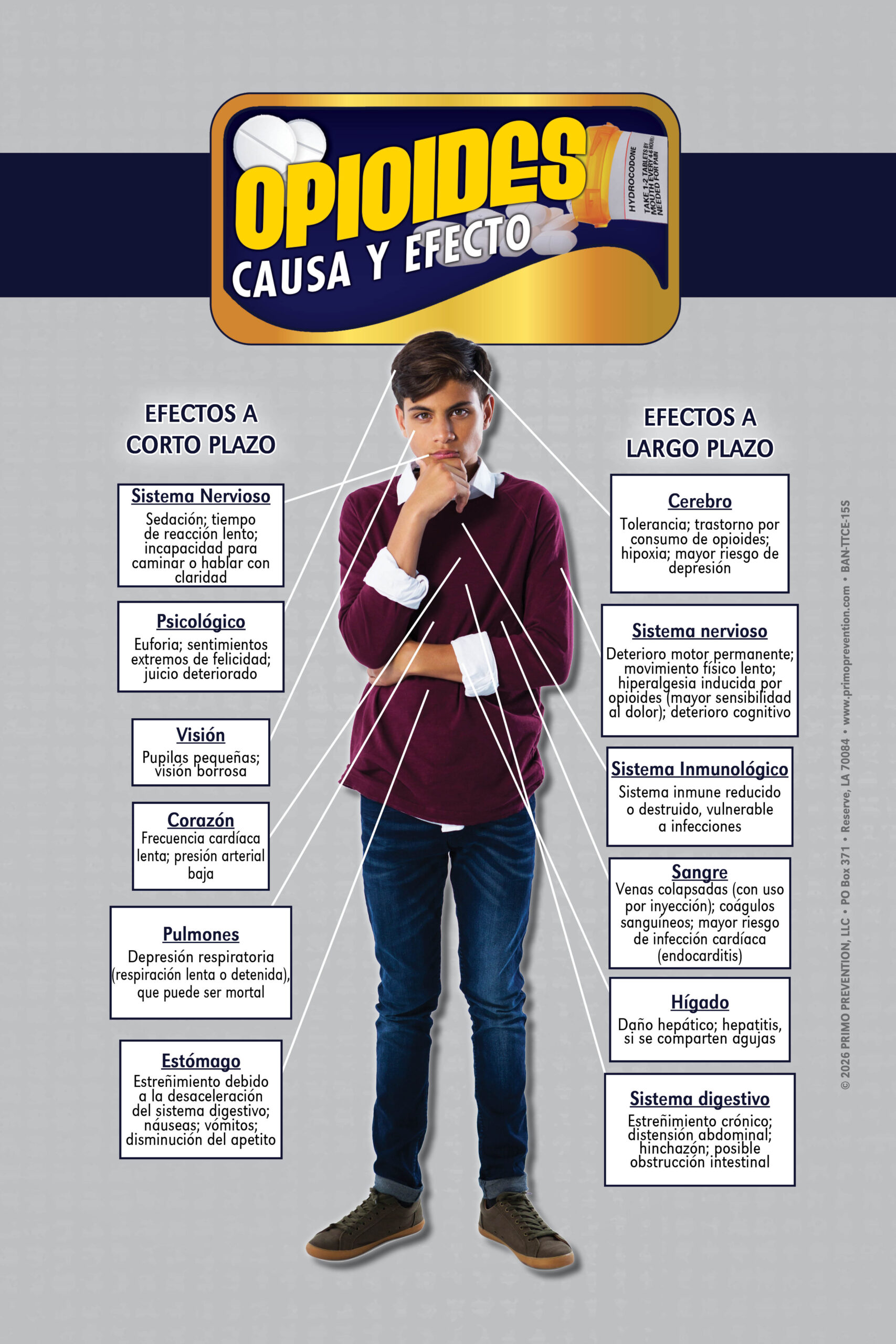 BAN-TTCE-15S Opioids SPANISH WEB *SPANISH* Table Top Retractable Banner C&E Opioids - Image 2