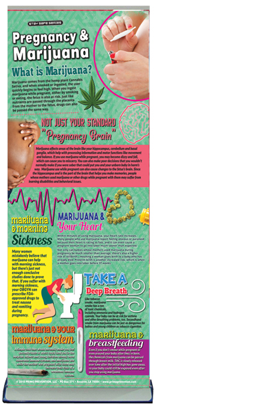 Pregnancy & Marijuana Pregnancy & Marijuana Retractable Banner w/Stand - Image 2