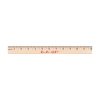 12 inch Wooden Ruler "2 Smart 2 Start" DPM 2019 Wooden Ruler WEB 100x100