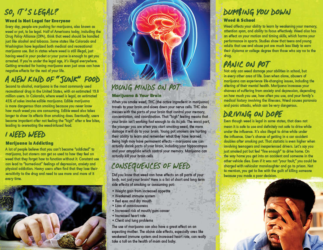 PAM-SSDA-66 Legal Weed-BACK PAM-SSDA-65-Legal-Weed-COVER