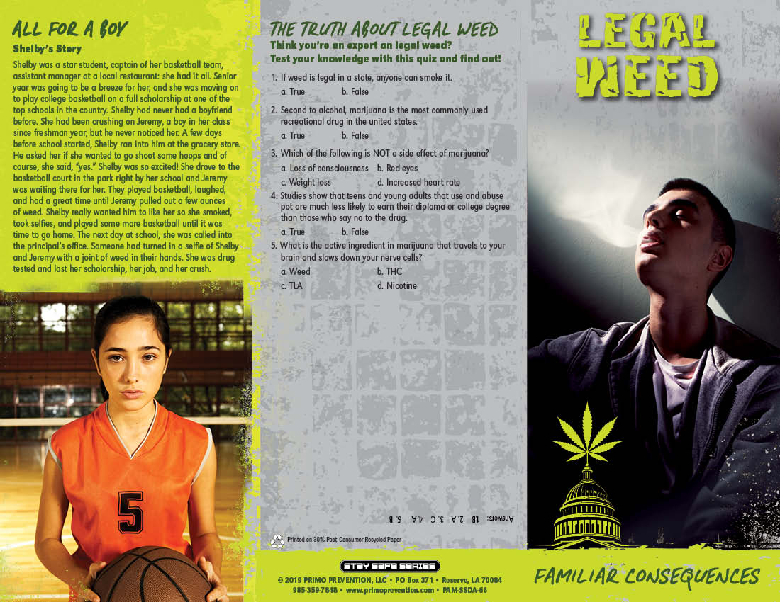 PAM-SSDA-66 Legal Weed-FRONT Legal Weed: Familiar Consequences Pamphlet - Image 3