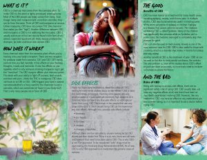 PAM-SSDA-66 CBD Oil-back