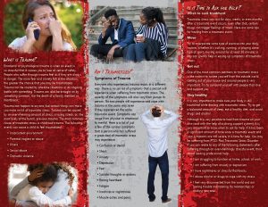 PAM-SSMH-29 Overcoming Distress-back
