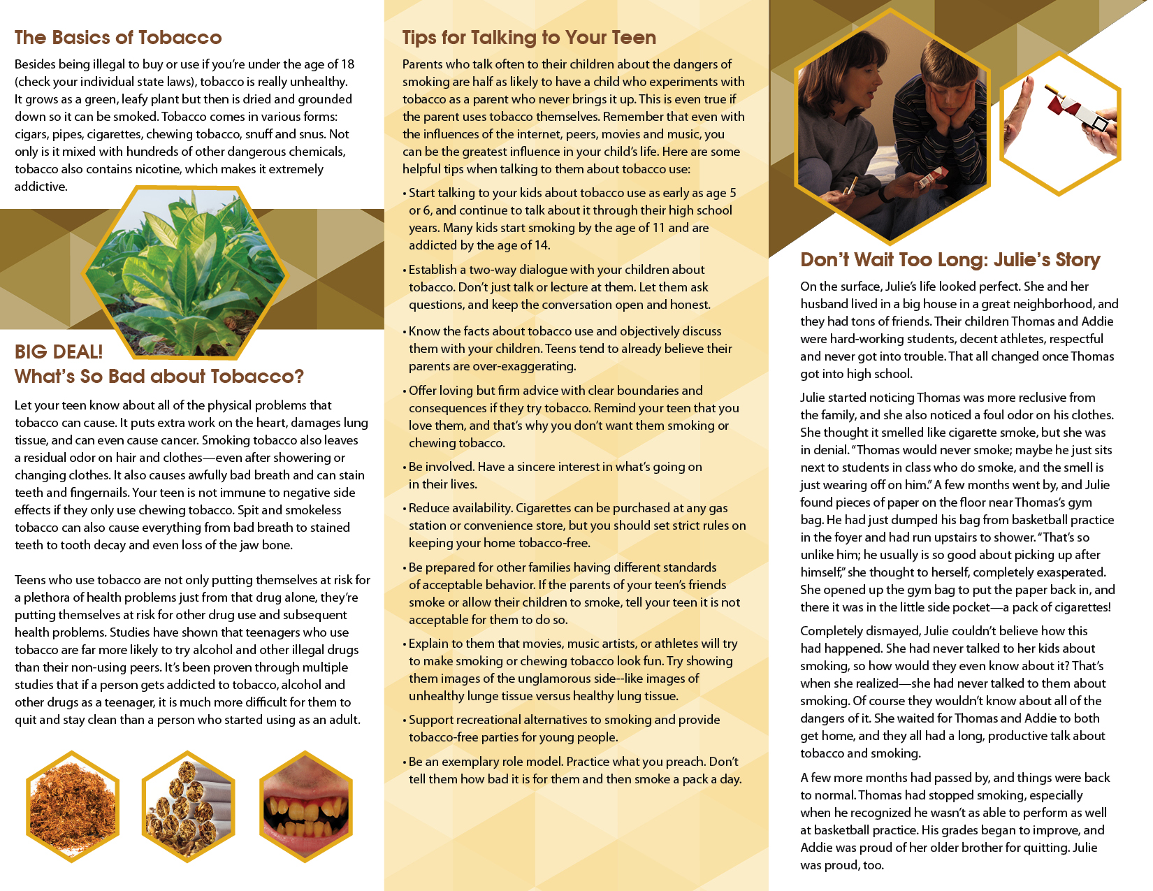 PSS-ST-03-How to Keep Kids Tobacco Free Pamphlet-BACK How to Keep Kids Tobacco Free Presentation Banner Package - Image 4