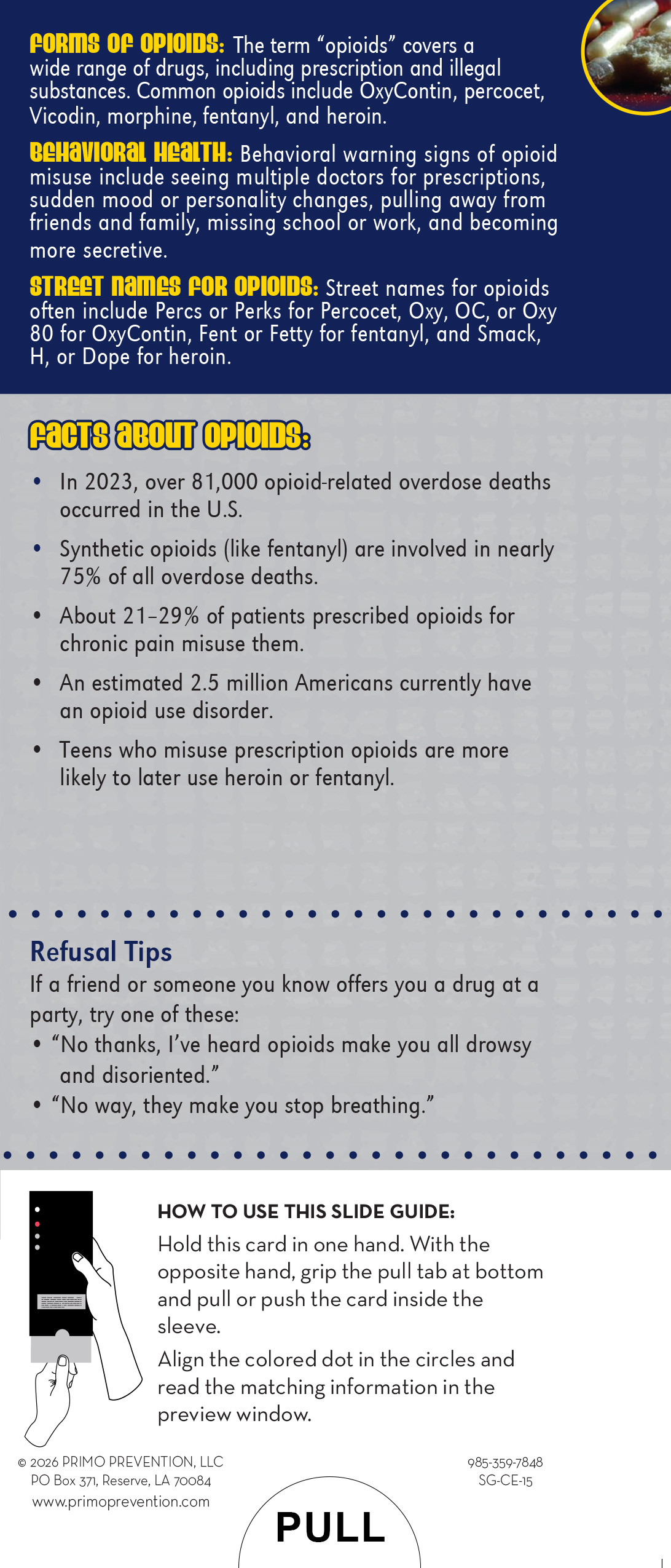 SG-CE-15 Opioids BACK Cause & Effect: Opioids Slide Guide - Image 3