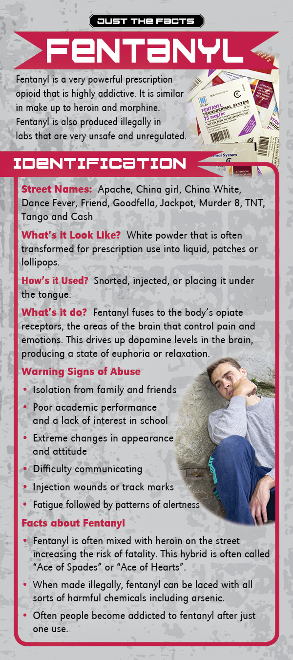 Fentanyl Rack Card COMPLETE Fentanyl Retractable Banner Package - Image 3