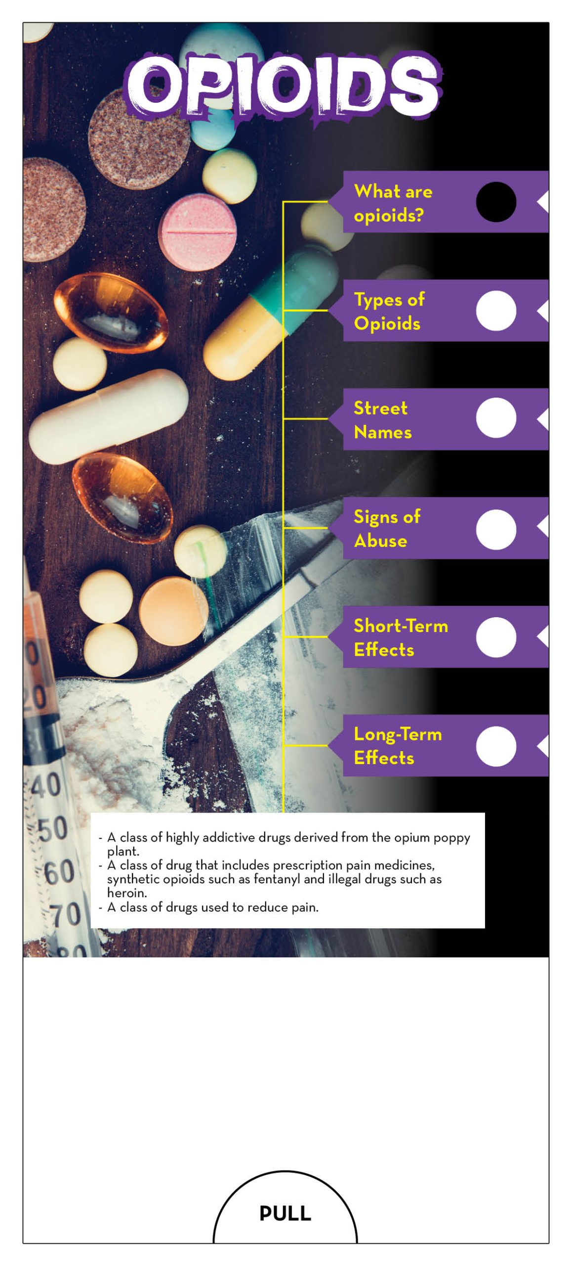 Opioid-Slide-Guide-COVER Slide Guide Prevention Starter Kit Package - Image 2