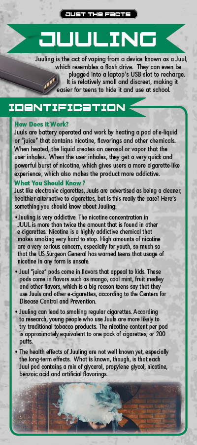RACK-JTF-85 Juuling-FRONT Juuling Retractable Banner, Pamphlet & Rack Card Package - Image 4