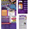 Naloxone (Narcan) Retractable Banner, Slide Guide & Rack Card Package BAN SSDA 75 PKG 2 Naxalone 100x100
