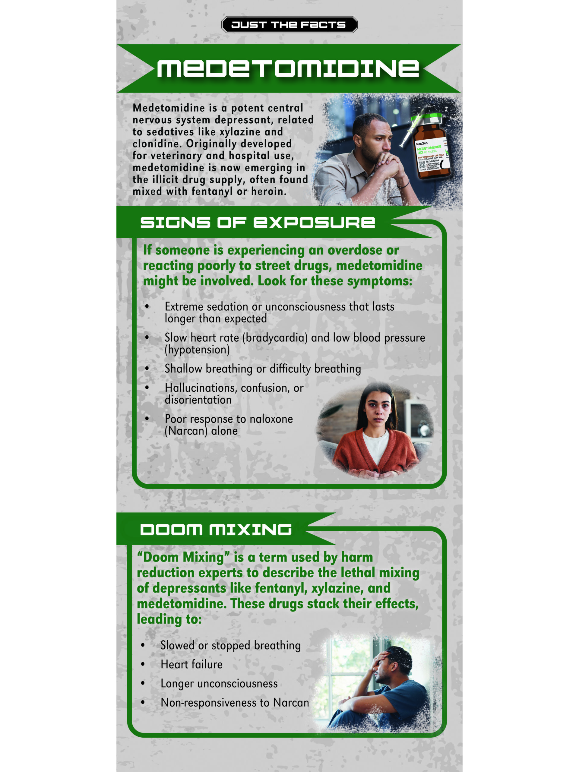 RACK-Medetomidine WEB COVER Just the Facts Rack Card: Medetomidine