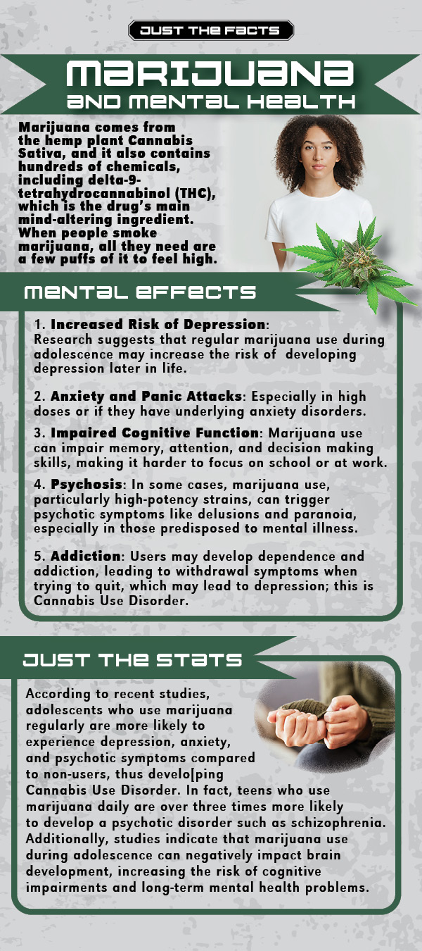 RACK-JTF-109 Marijuana and Mental Health Just the Facts Rack Card: Marijuana & Mental Health - Image 2