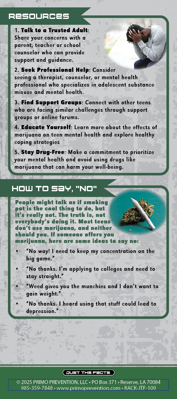 RACK-JTF-109 Marijuana and Mental Health2 Just the Facts Rack Card: Marijuana & Mental Health - Image 3