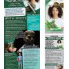 Marijuana & Mental Health Retractable Banner Package Marijuana And Mental Health PACKAGE 100x100