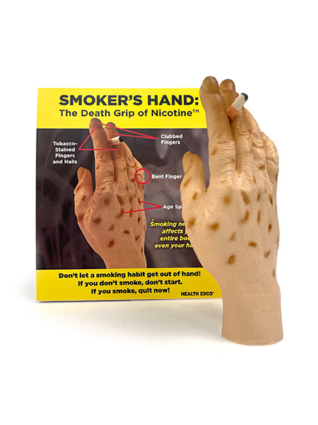 27034 Smokers Hand The Death Grip Model WEB Smoker's Hand: The Death Grip of Nicotine Model