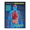 Anatomy of an Opioid Abuser 3-D Display 78883A1 100x100
