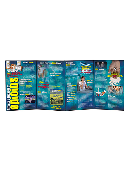 78884- WEB FILES Effects & Hazards of Opioids Folding Display (4 Panel)