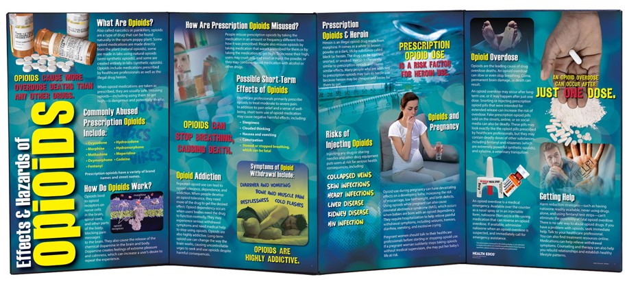 78884- WEB FILES SNIPPED Effects & Hazards of Opioids Folding Display (4 Panel) - Image 2