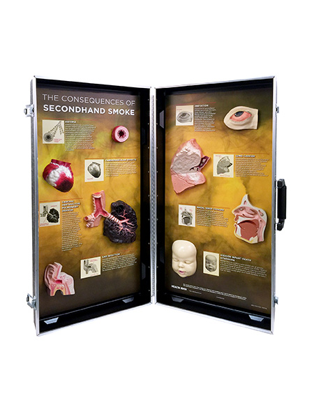 78925- WEB FILE Secondhand Smoke Consequences 3-D Display