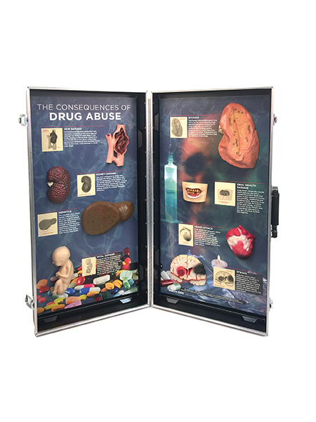 78928 WEB FILE Drug Abuse Consequences 3-D Display