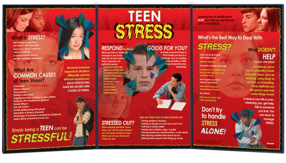 79048- NEED WEB SNIPPED Teen Stress Folding Display (3 Panel) - Image 2
