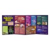 Effects & Hazards of Substance Abuse Folding Display (4 Panel) 79053 WEB FILE 100x100