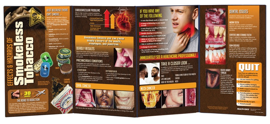 79074- WEB FILE SNIPPED Effects & Hazards of Smokeless Tobacco Folding Display (4 Panel) - Image 2