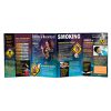Effects & Hazards of Smoking Folding Display (4 Panel) 79079 WEB FILE 100x100