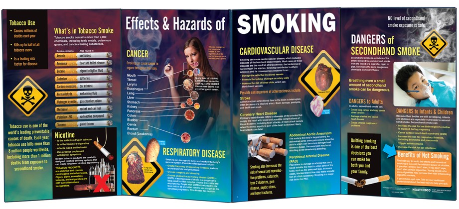 79079- WEB FILE SNIPPED Smoking Education Package - Image 5