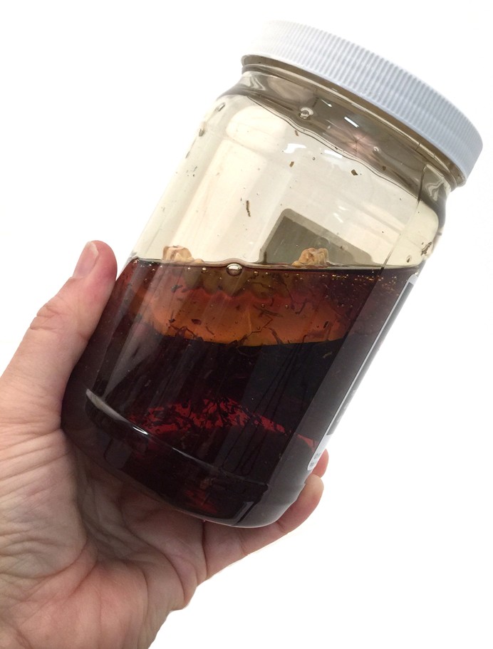 79123-Teeth-in-Tobacco-Juice SNIPPED Teeth In Tobacco Juice - Image 3