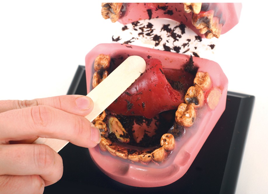 79152-Mr-Gross-Mouth-Model_SNIPPED Mr. Gross Mouth Model - Image 3