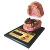 79152 WEB FILE 100x100