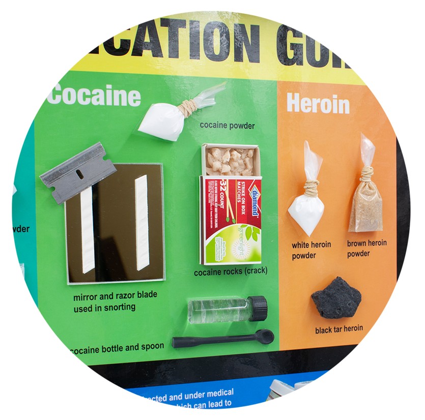 79216- NEED WEBSNIPPED Drug Identification Guide - Image 5