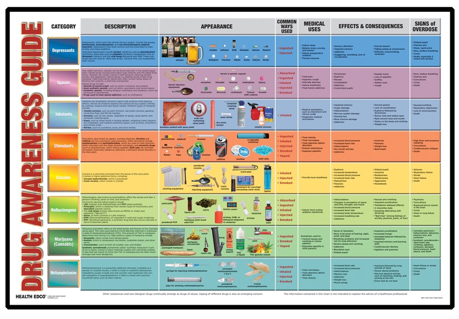 79220- NEED WEBSNIPPED Drug Awareness Guide Display - Framed - Image 2