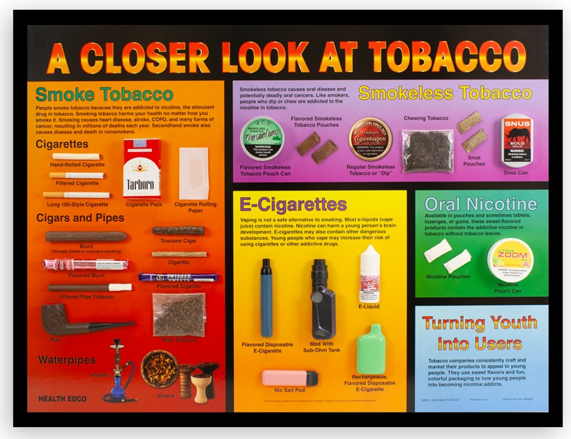 79225- NEED WEBSNIPPED A Closer Look at Tobacco 3-D Display - Image 2