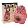 Tarred Lung Model 79234 WEB FILE 100x100