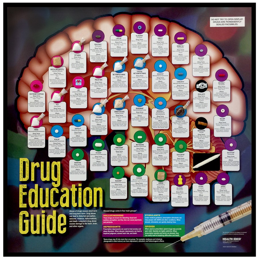 79236- NEED WEBSNIPPED Drug Education Guide - Image 2