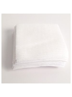 Smoking Demonstrator Replacement Filters (50)