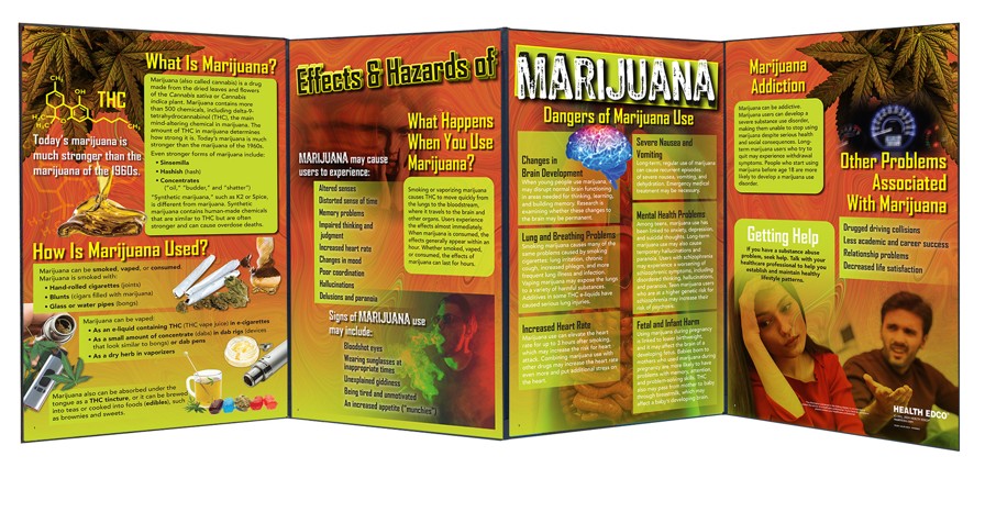79269- NEED WEBSNIPPED Effects & Hazards of Marijuana Folding Display - Image 2