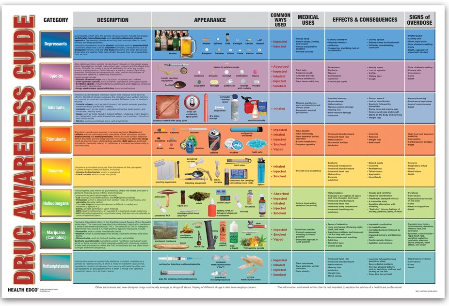 90671- NEED WEBSNIPPED Drug Awareness Guide Display - Laminated - Image 2