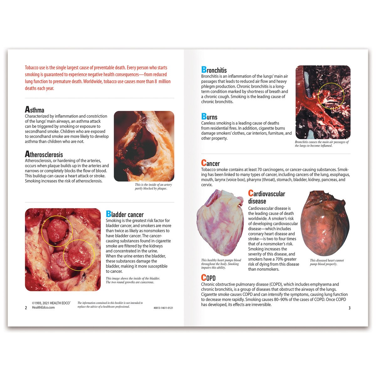 ABC's Insides The ABC's of Smoking Booklet (English) - Image 2