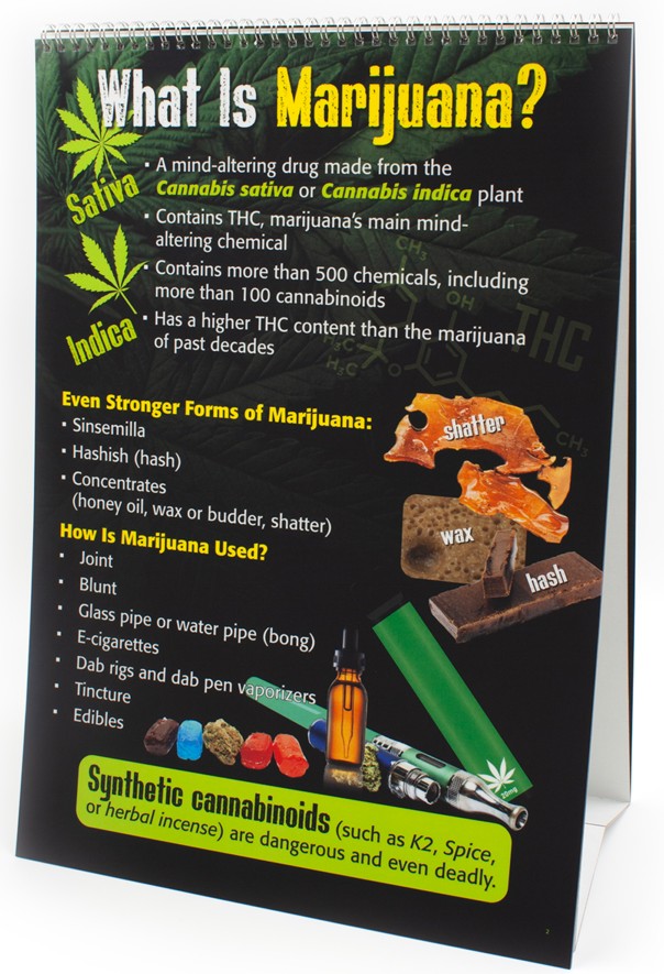 SNIPPED Marijuana Flip Chart (6 Panel) - Image 2