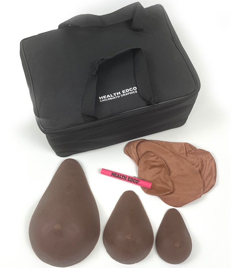 SNIPPED ABC Cup Breast Self Examination Model Set (Brown) - Image 2
