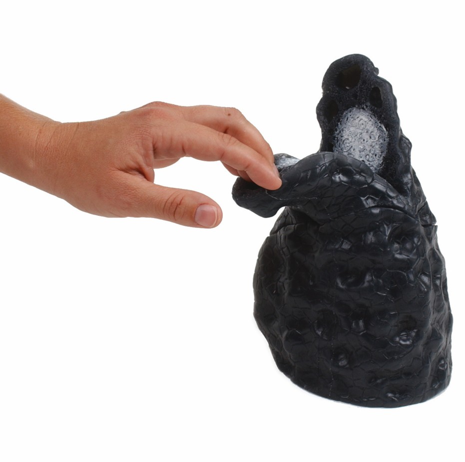 SNIPPED Smoked Lung Model - Image 2