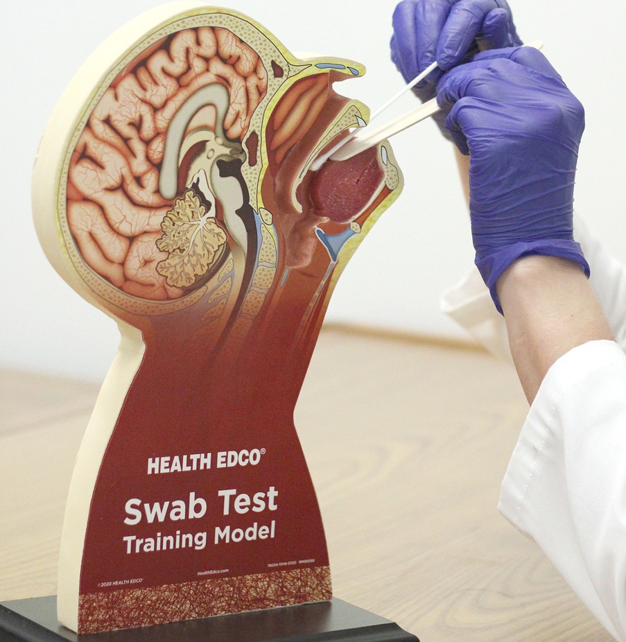 Screenshot 2025-12-05 134655 SNIPPED Swab Test Training Model - Image 2