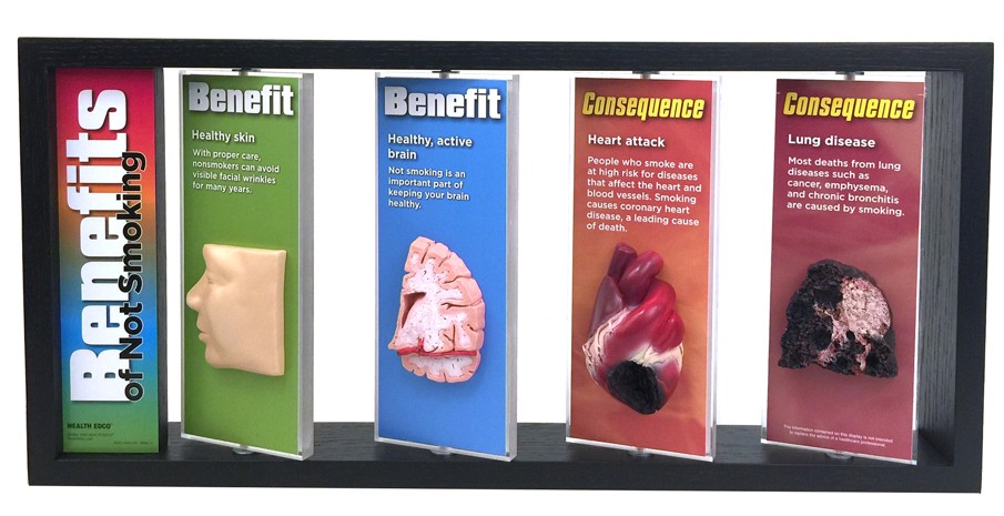 Screenshot 2025-1SNIPPED 2 Benefits of Not Smoking 3-D Display - Image 3