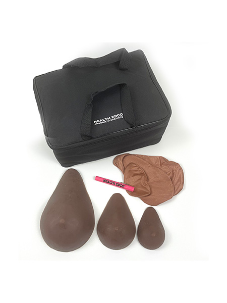 WEB FILE 26540E ABC Cup BSE Model Set ABC Cup Breast Self Examination Model Set (Brown)
